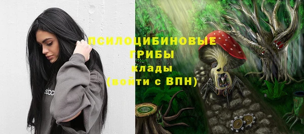 мет Арсеньев