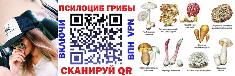 Галлюциногенные грибы Psilocybine cubensis  Липки 